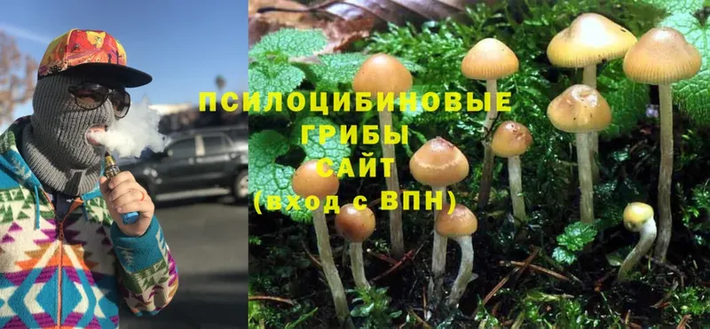 Галлюциногенные грибы Magic Shrooms  Малоархангельск 